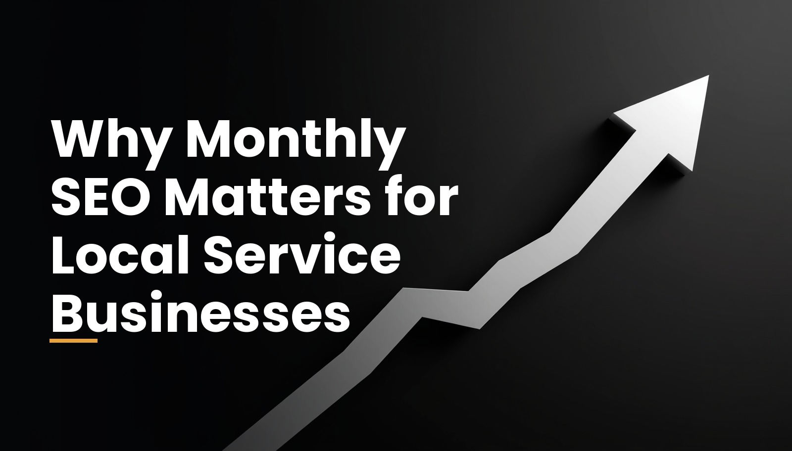 Local Visibility dashboard and search visibility visuals for a service business